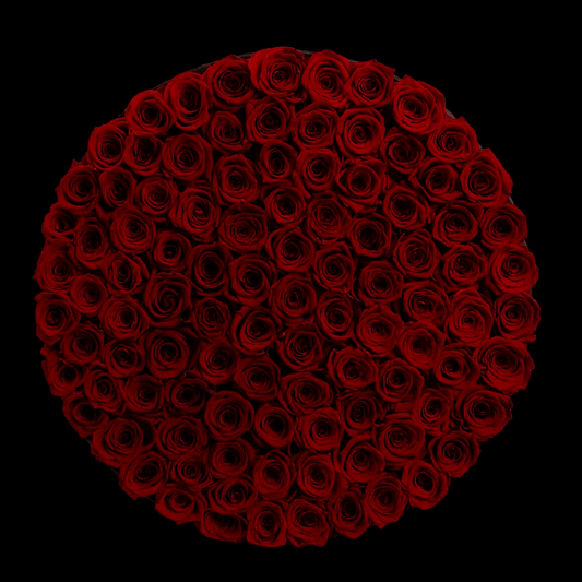 Century of Eternal Roses
