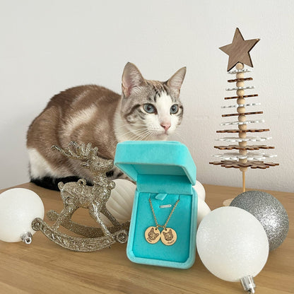 Personalised Eternal Pet Necklace