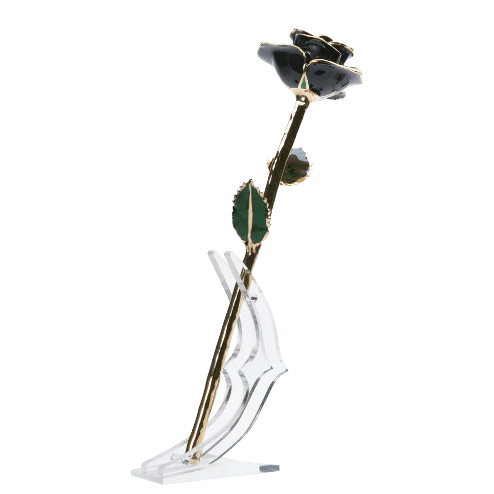 24k Gold Dipped Rose
