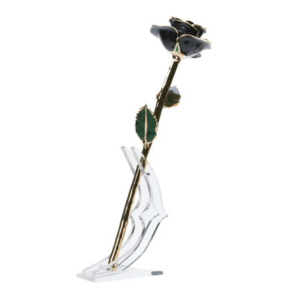 24k Gold Dipped Rose
