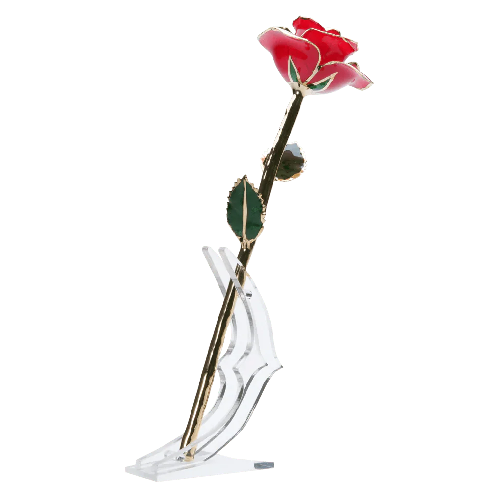 24k Gold Dipped Rose