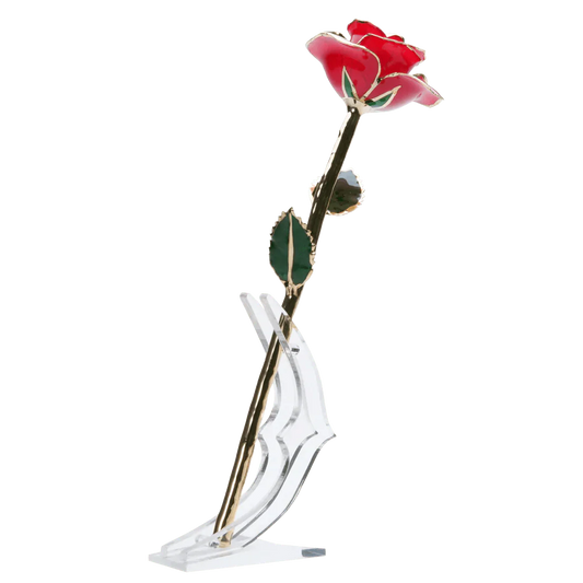 24k Gold Dipped Rose