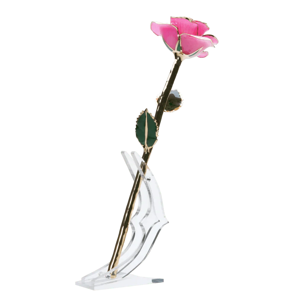 24k Gold Dipped Rose