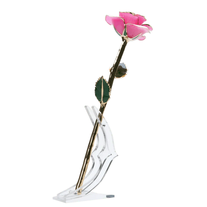24k Gold Dipped Rose