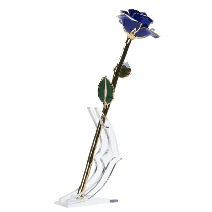 24k Gold Dipped Rose