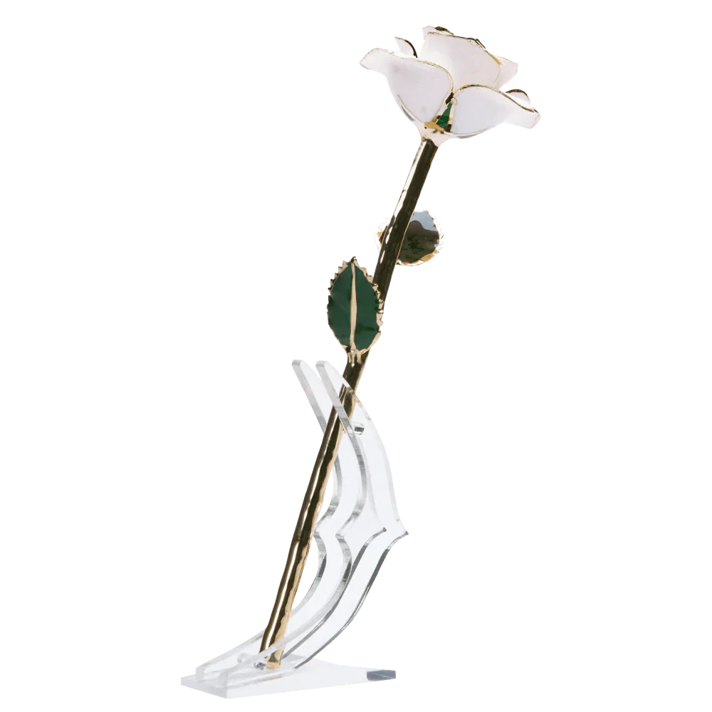 24k Gold Dipped Rose