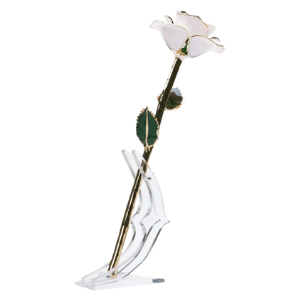 24k Gold Dipped Rose