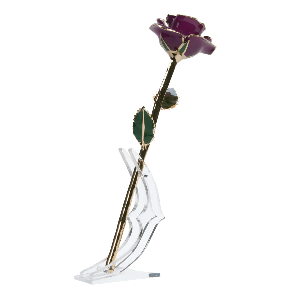24k Gold Dipped Rose