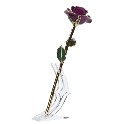 24k Gold Dipped Rose