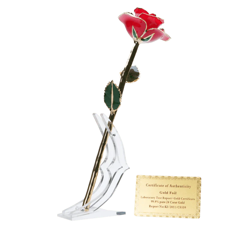 24k Gold Dipped Rose