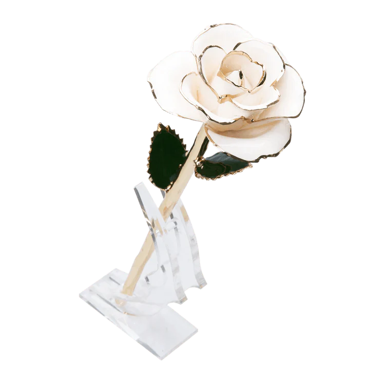 24k Gold Dipped Rose
