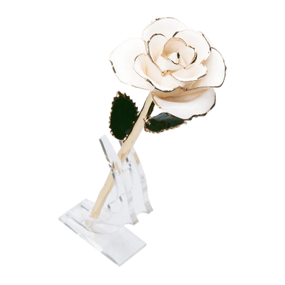 24k Gold Dipped Rose