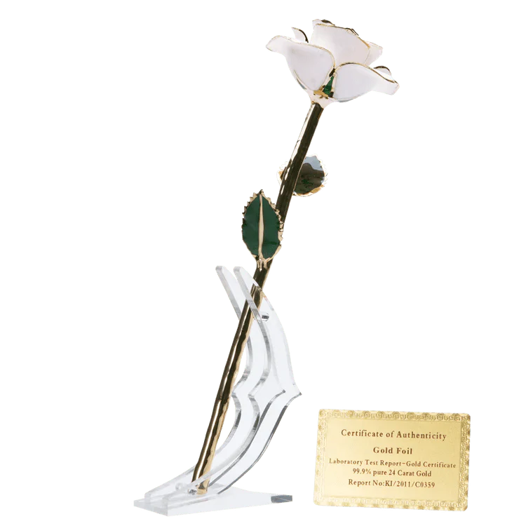 24k Gold Dipped Rose