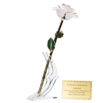 24k Gold Dipped Rose