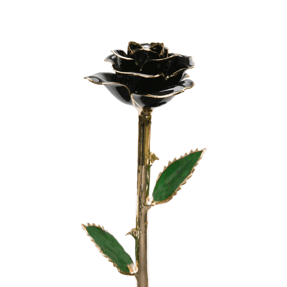 24k Gold Dipped Rose