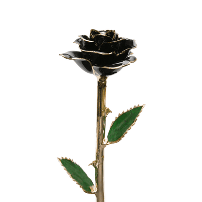 24k Gold Dipped Rose
