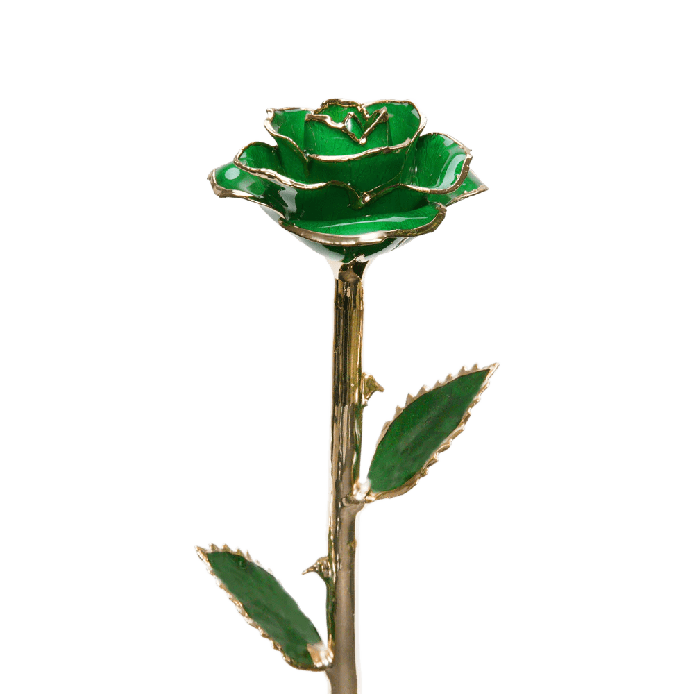 24k Gold Dipped Rose