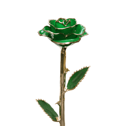 24k Gold Dipped Rose
