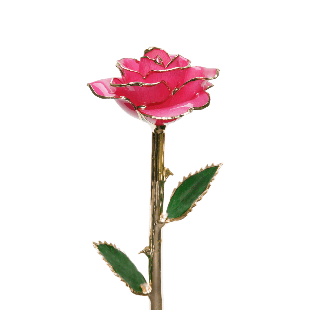 24k Gold Dipped Rose