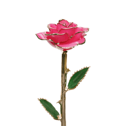 24k Gold Dipped Rose