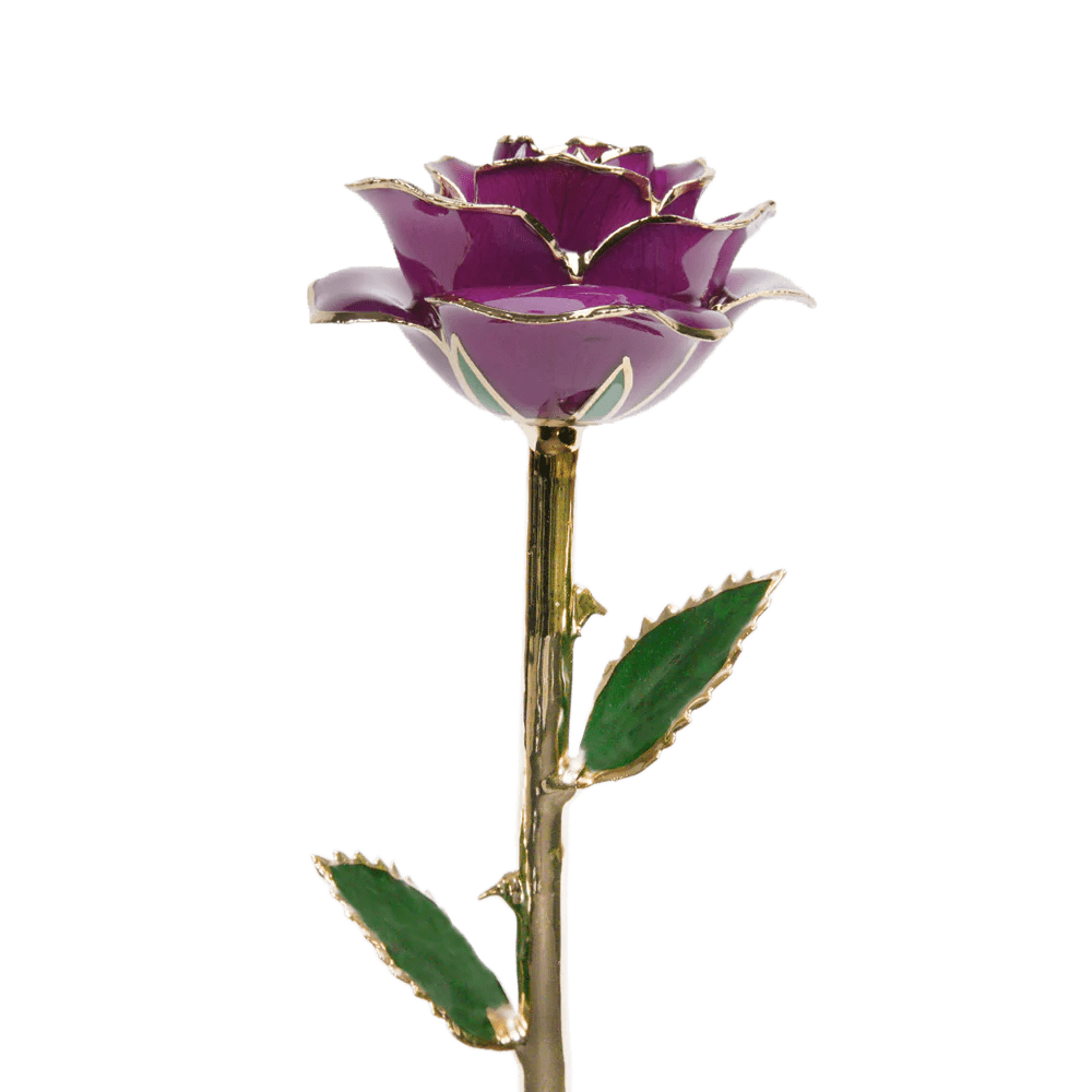 24k Gold Dipped Rose