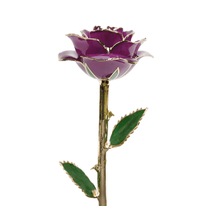 24k Gold Dipped Rose