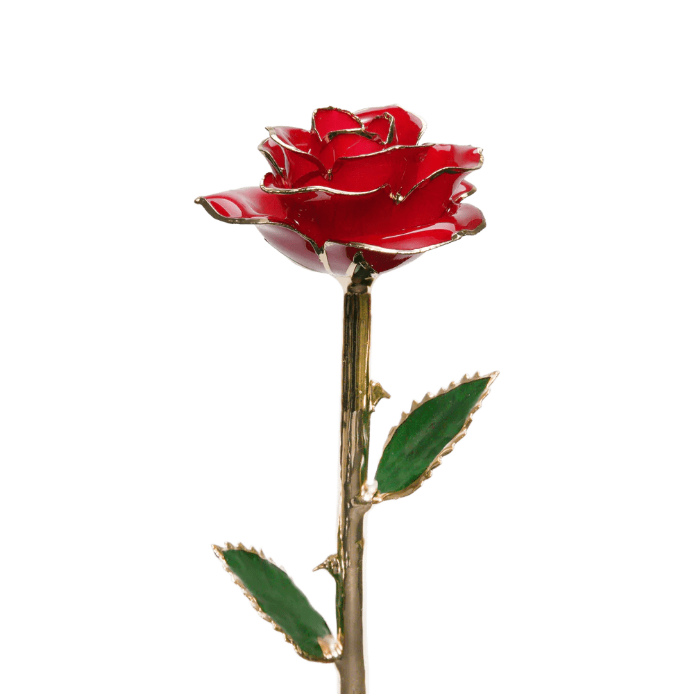 24k Gold Dipped Rose