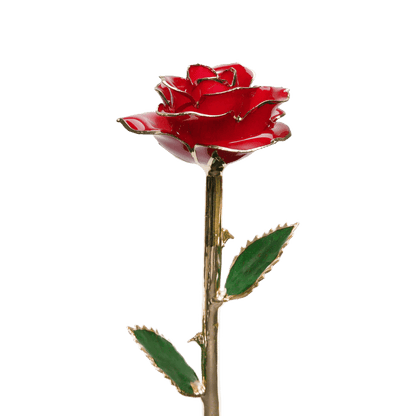 24k Gold Dipped Rose