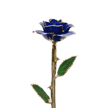 24k Gold Dipped Rose