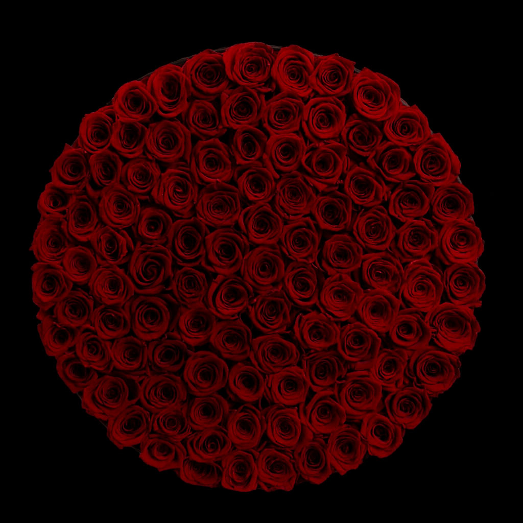 Century of Eternal Roses
