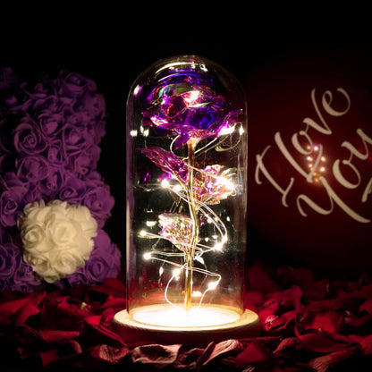 Enchanted Eternal Rose