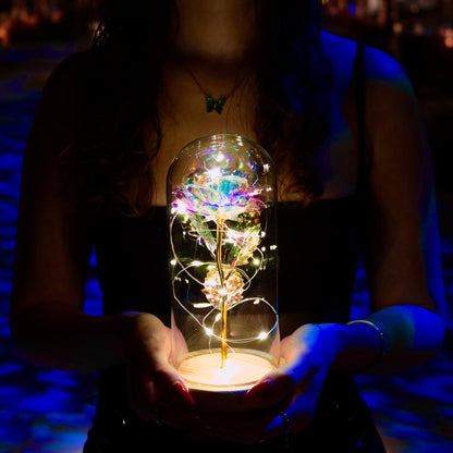 Enchanted Eternal Rose