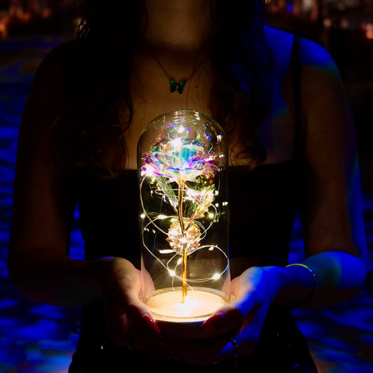 Enchanted Eternal Rose