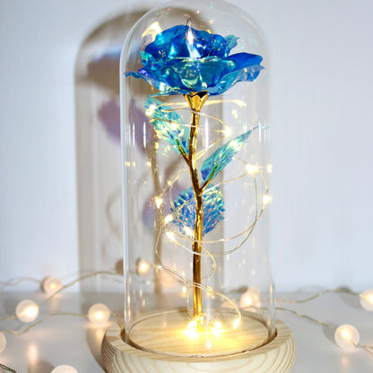 Enchanted Eternal Rose