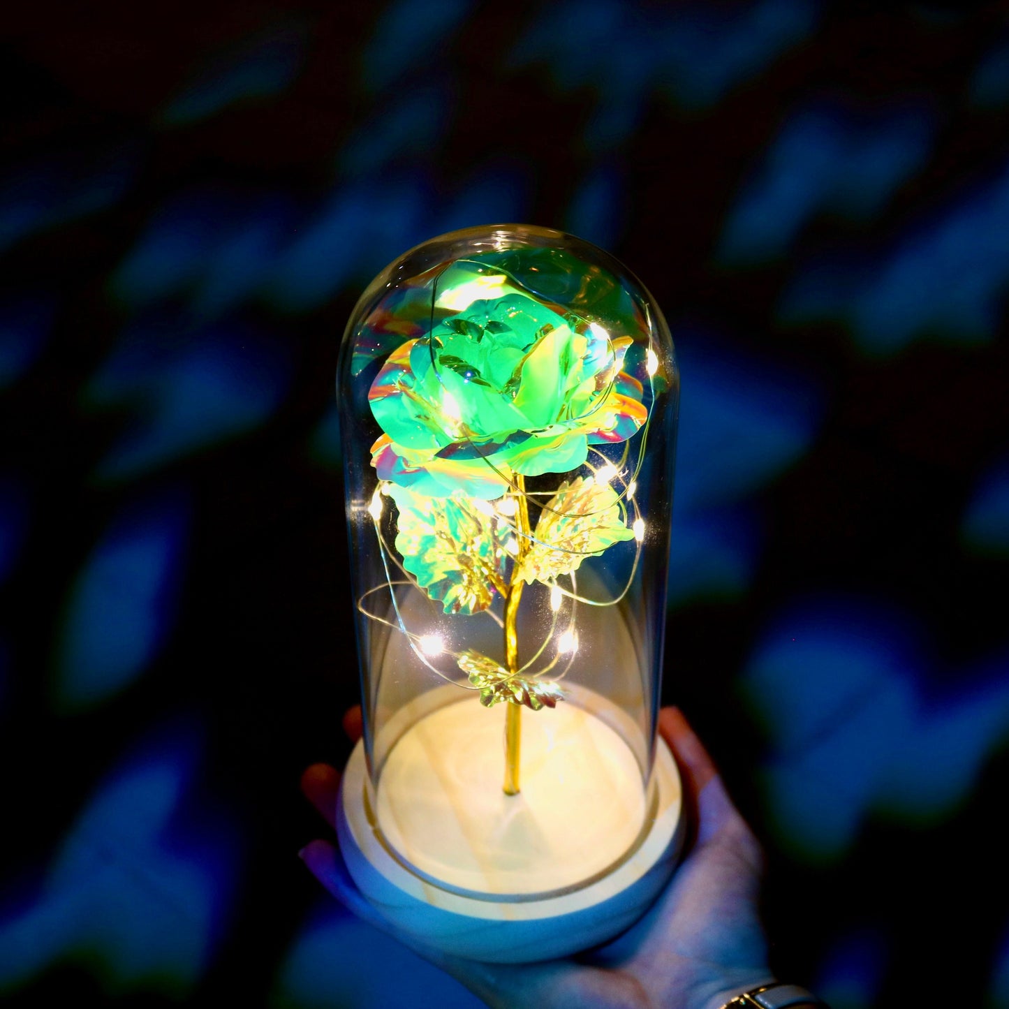Enchanted Eternal Rose
