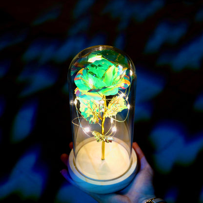 Enchanted Eternal Rose