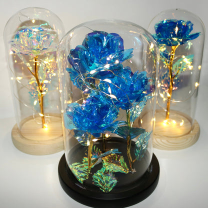 Enchanted Eternal Rose