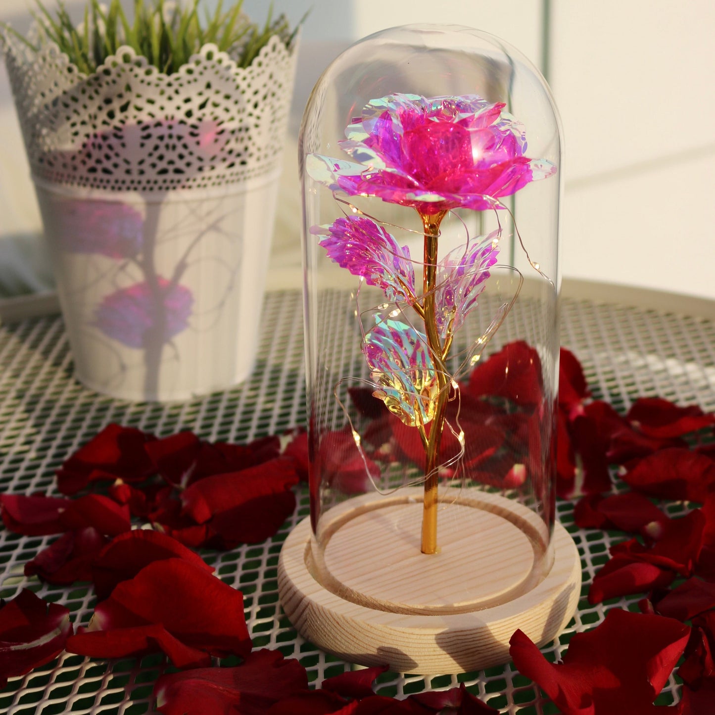 Enchanted Eternal Rose