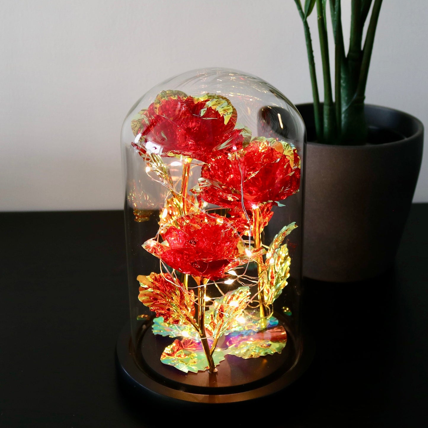 Enchanted Eternal Rose