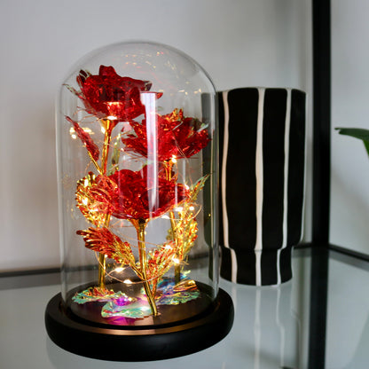 Enchanted Eternal Rose
