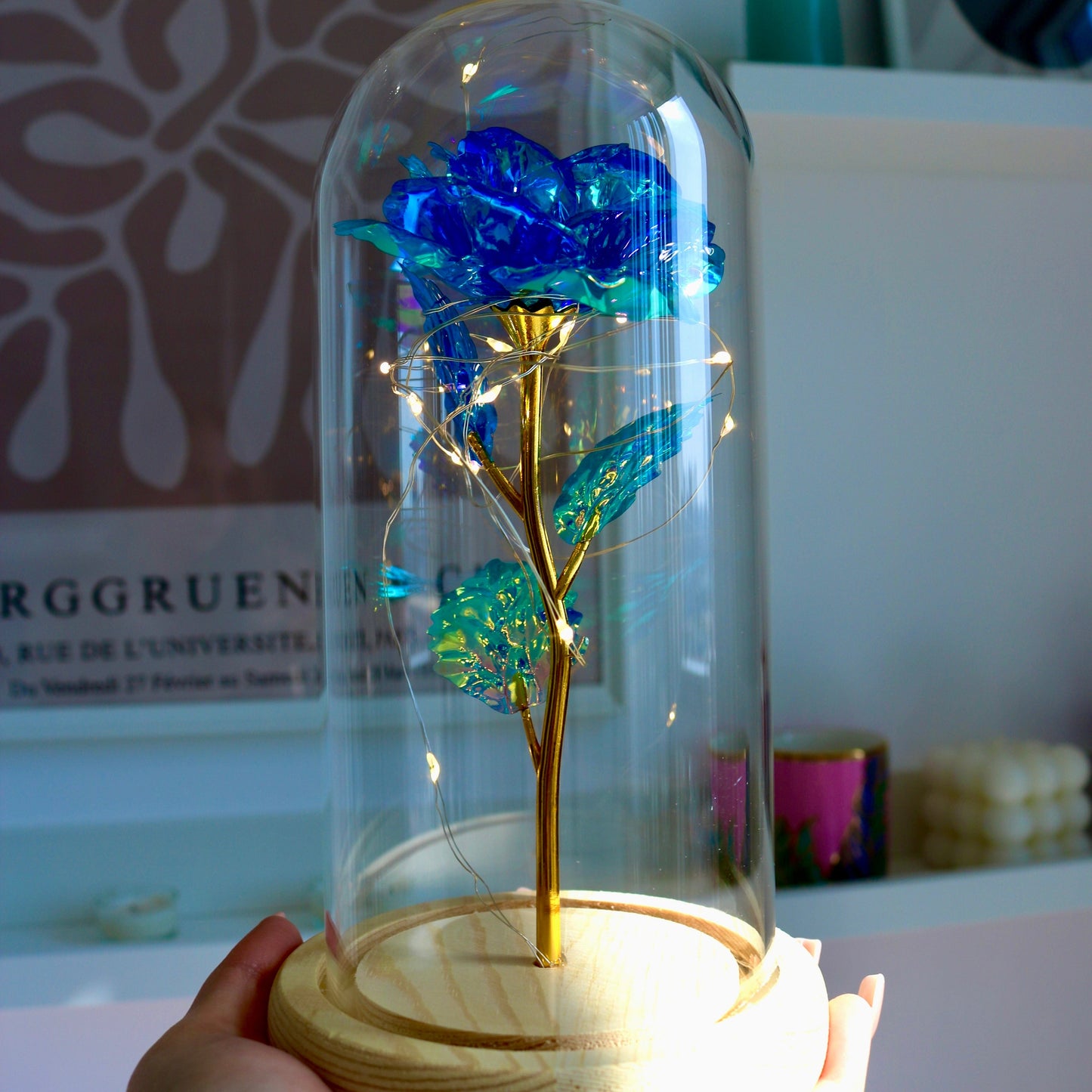 Enchanted Eternal Rose