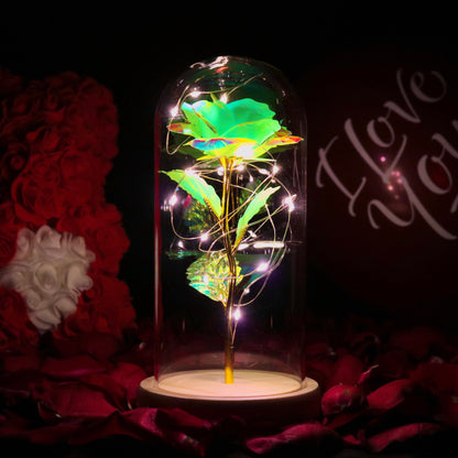 Enchanted Eternal Rose